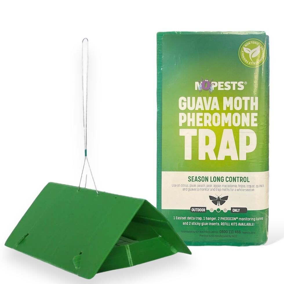 Guava Moth Pheromone Trap | Pestrol