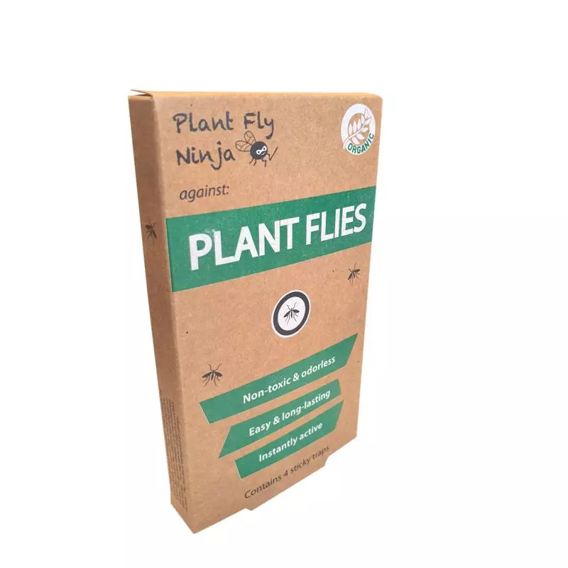 plant fly 1
