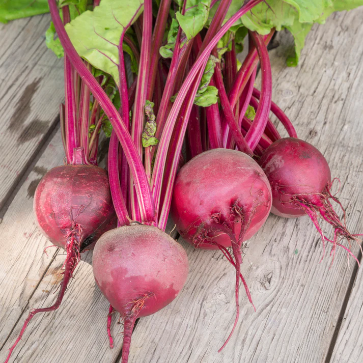 Beetroot Detroit Red Globe | Pestrol