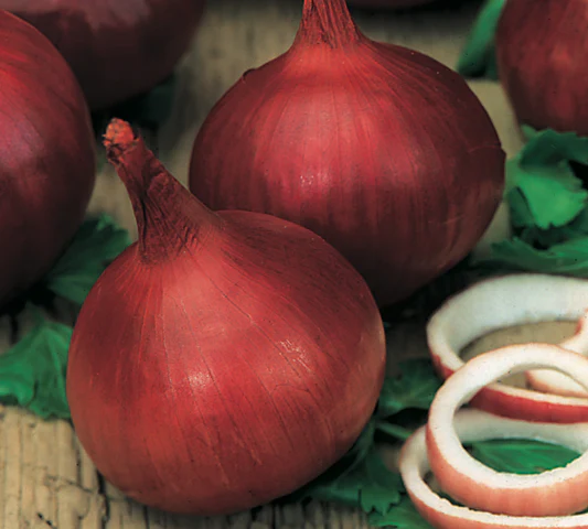 Californian Red Onion | Pestrol