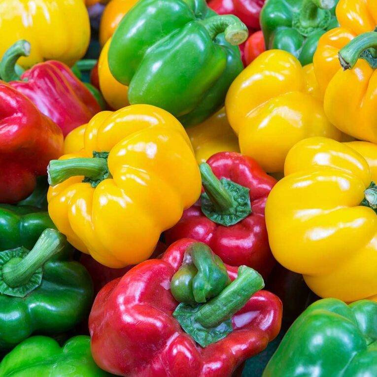 Capsicum Californian Wonder Bell | Pestrol