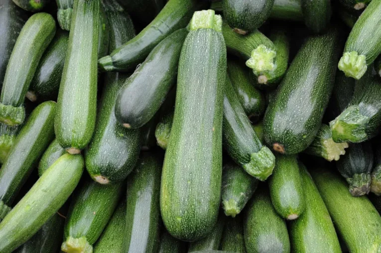 Greenskin Zucchini | Pestrol