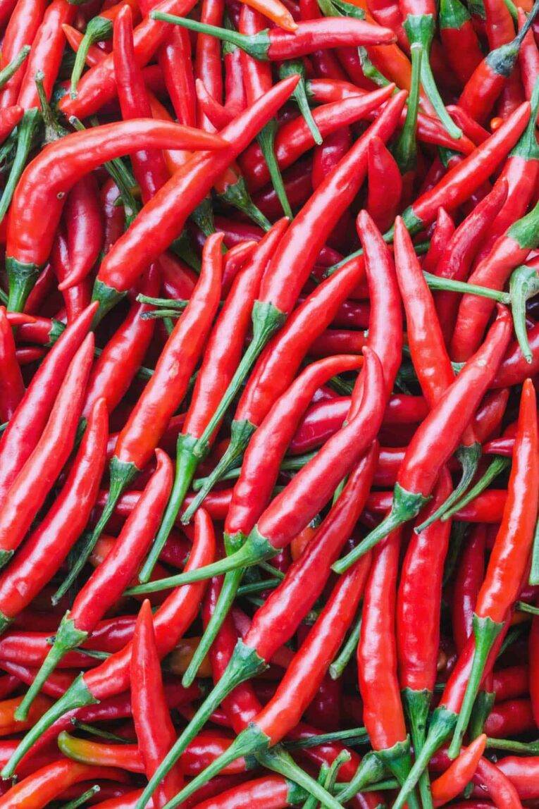 Hot Cayenne Chilli Pepper | Pestrol