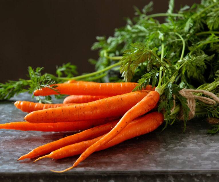 Manchester Table Carrot | Pestrol