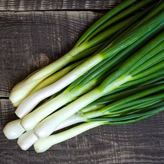 Spring Onion | Pestrol